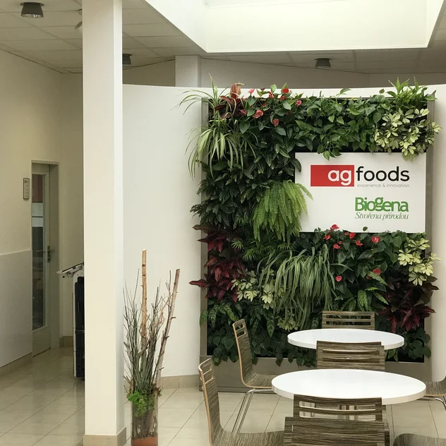 AG FOODS Košíkov - interiérová zelená stena s kvetmi
